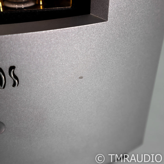 Pathos InPower Monoblock Amplifier
