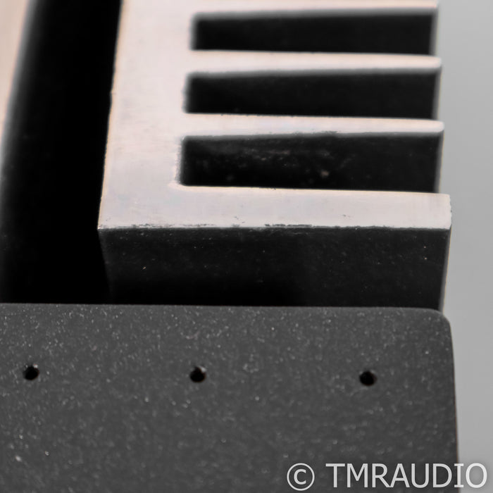 Pathos InPower Monoblock Amplifier