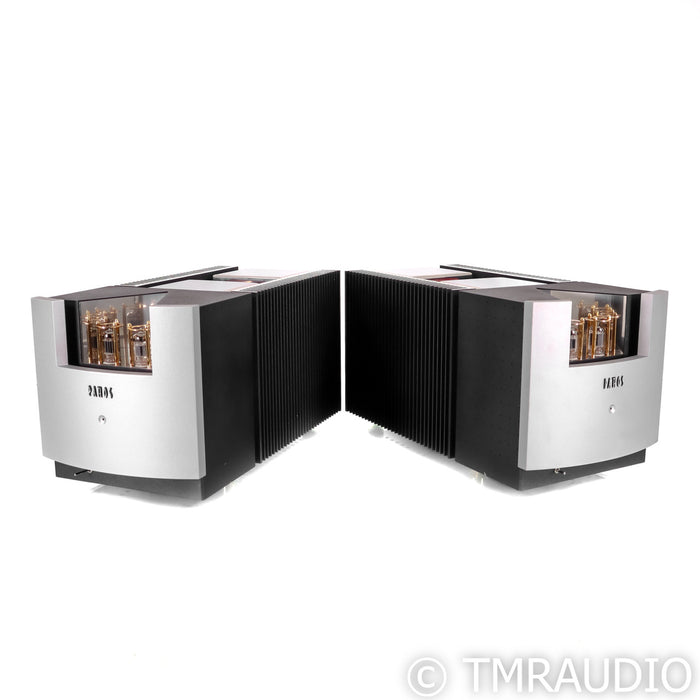 Pathos InPower Monoblock Amplifier