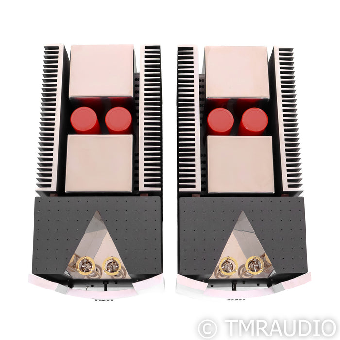 Pathos InPower Monoblock Amplifier