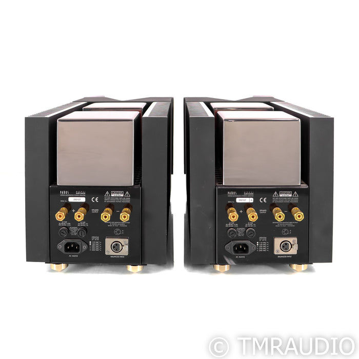 Pathos InPower Monoblock Amplifier