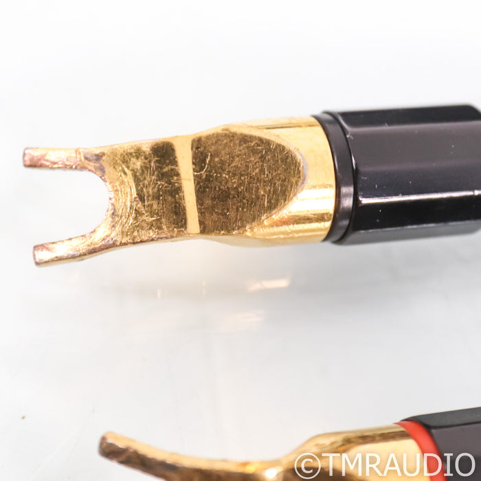 Transparent Audio Reference XL SS Speaker Cable; 10ft; Single