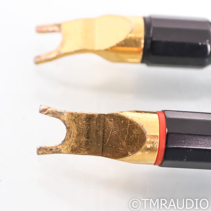 Transparent Audio Reference XL SS Speaker Cable; 10ft; Single