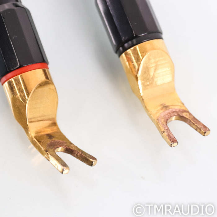 Transparent Audio Reference XL SS Speaker Cable; 10ft; Single