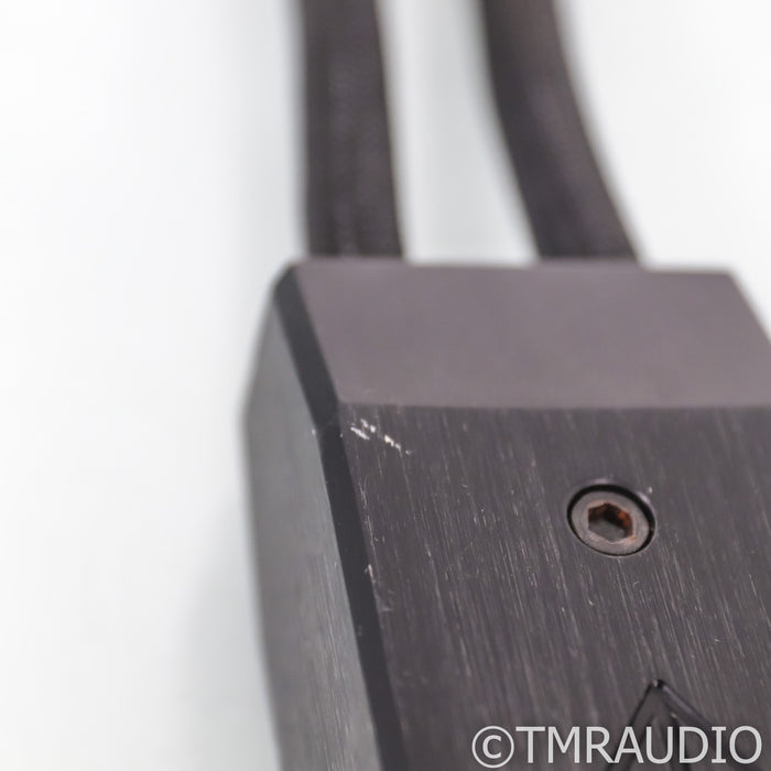 Transparent Audio Reference XL SS Speaker Cable; 10ft; Single