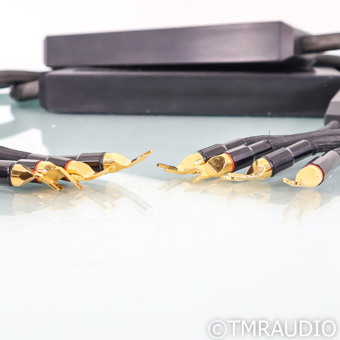 Transparent Audio Reference XL SS Speaker Cables; 10ft Pair