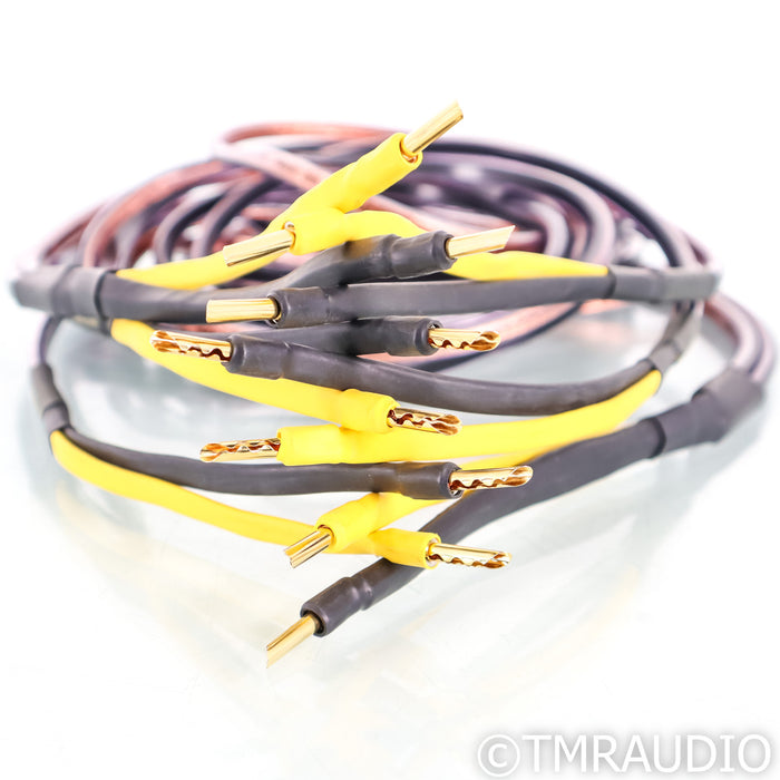 Analysis Plus Oval 12 Bi-Wire Speaker Cables; 8ft Pair Banana