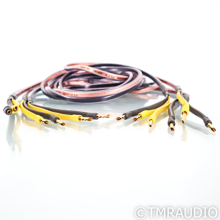 Analysis Plus Oval 12 Bi-Wire Speaker Cables; 8ft Pair Banana