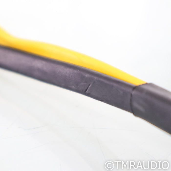 Analysis Plus Oval 12 Bi-Wire Speaker Cables; 8ft Pair Banana