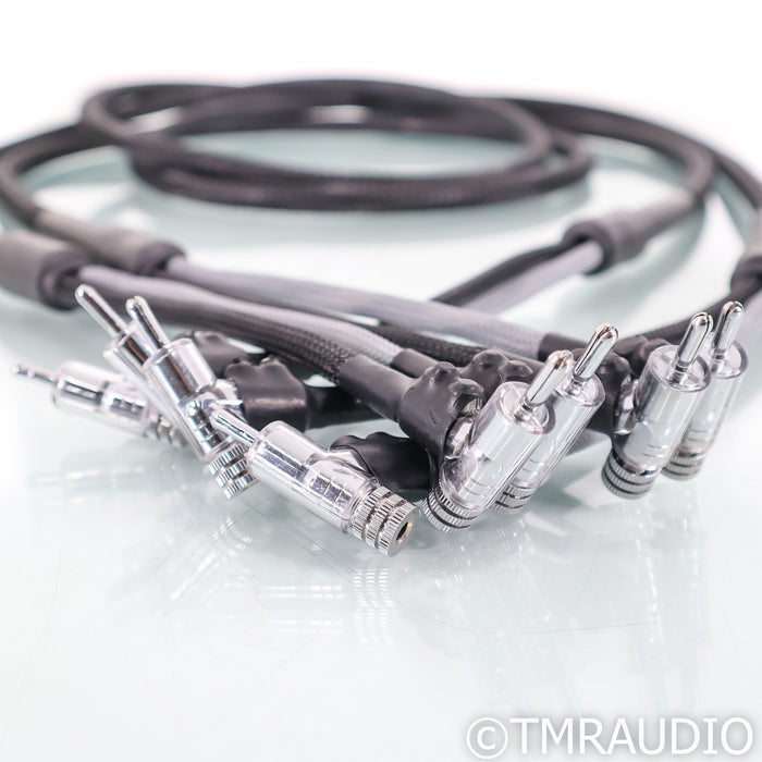 Voodoo Cables Velocity Speaker Cables; 6ft Pair