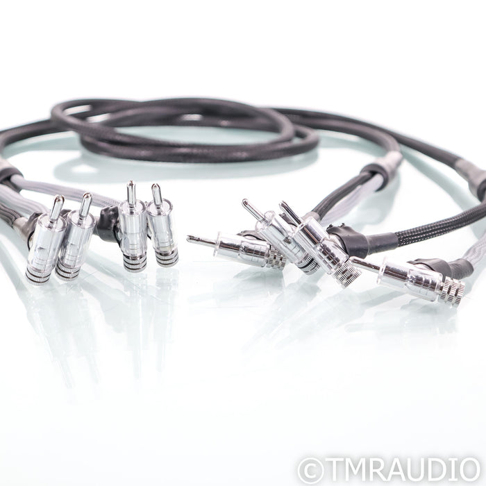Voodoo Cables Velocity Speaker Cables; 6ft Pair
