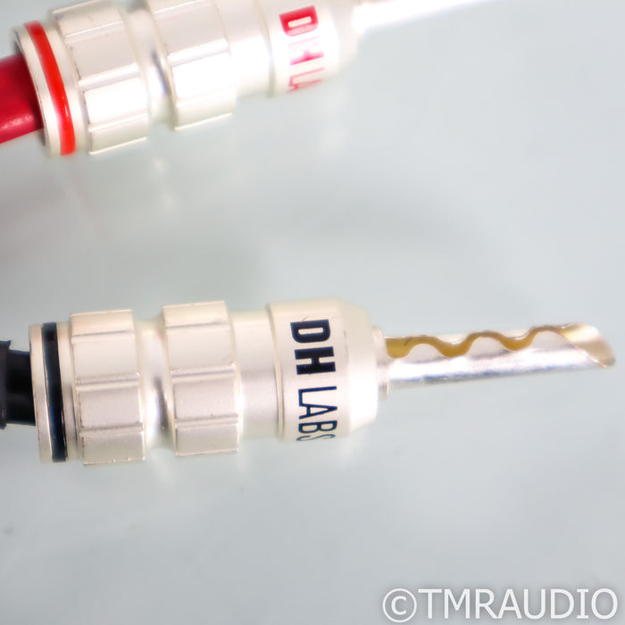 DH Labs Silver Sonic Q-10 Signature Speaker Cables; 8ft Pair