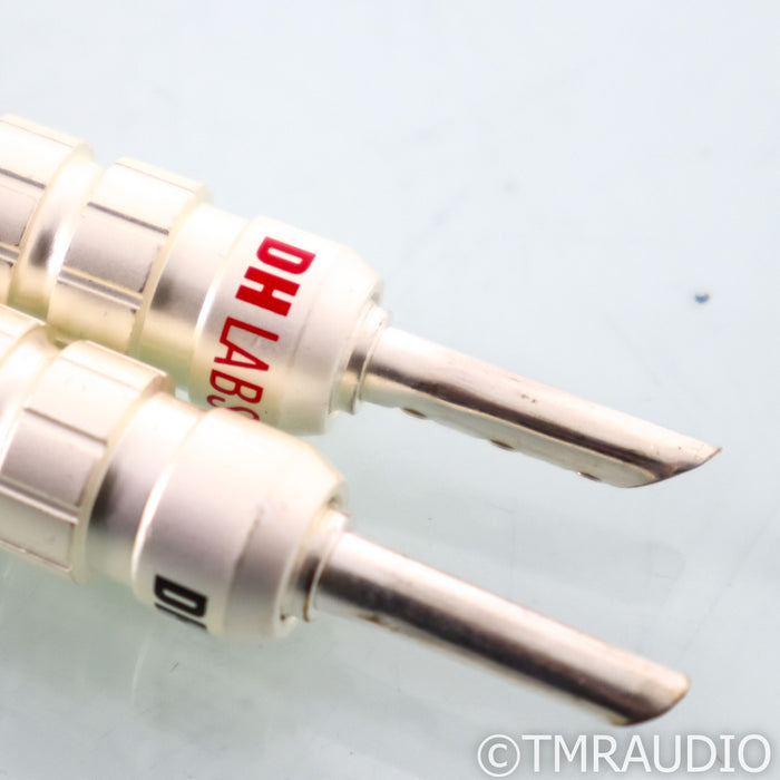 DH Labs Silver Sonic Q-10 Signature Speaker Cables; 8ft Pair