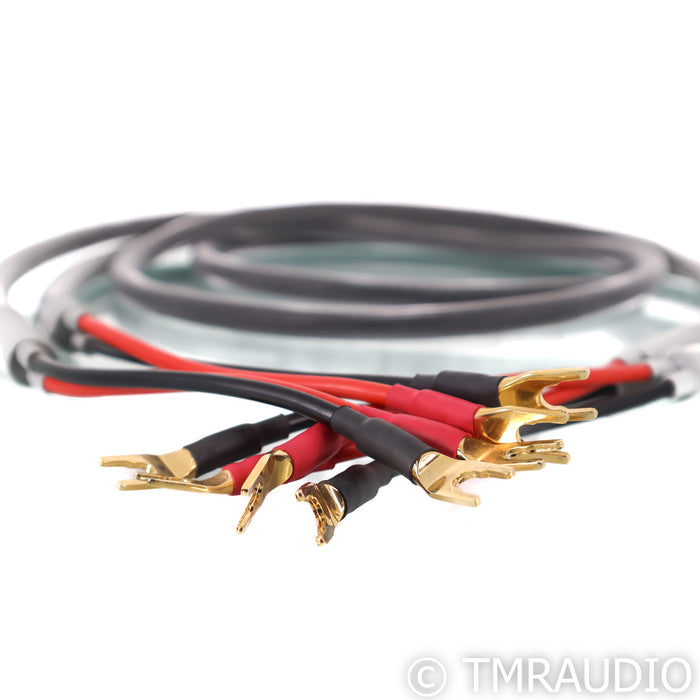Shunyata Research Venom Speaker Cables; 2m Pair