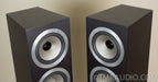 Tannoy Revolution DC6-T Floorstanding Speakers