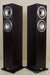 Tannoy Revolution DC6-T Floorstanding Speakers