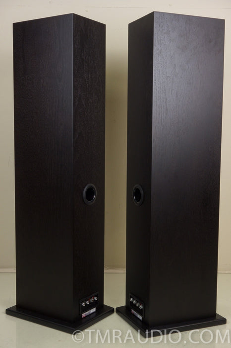 Tannoy Revolution DC6-T Floorstanding Speakers