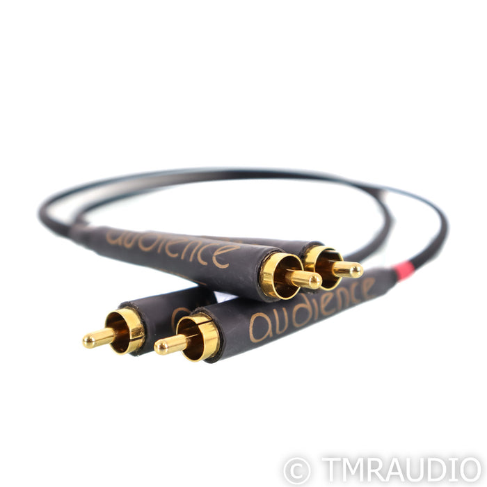 Audience Au24 RCA Cables; 0.5m Pair Interconnects