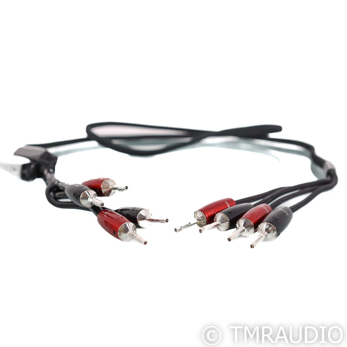 AudioQuest Rocket 88 Bi-Wire Speaker Cables; 8ft AC Cord