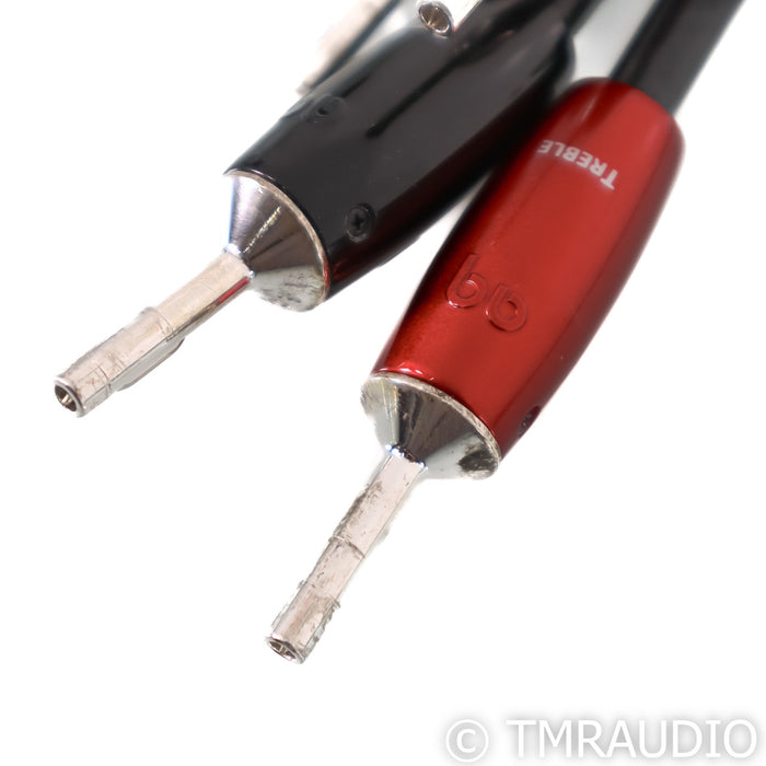 AudioQuest Rocket 88 Bi-Wire Speaker Cables; 8ft AC Cord