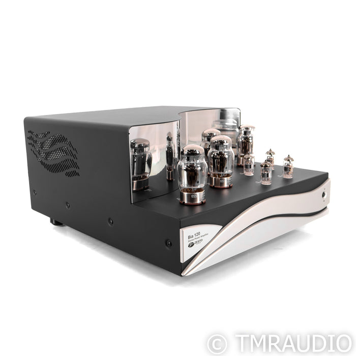 Zesto Audio Bia 120 Stereo Tube Power Amplifier