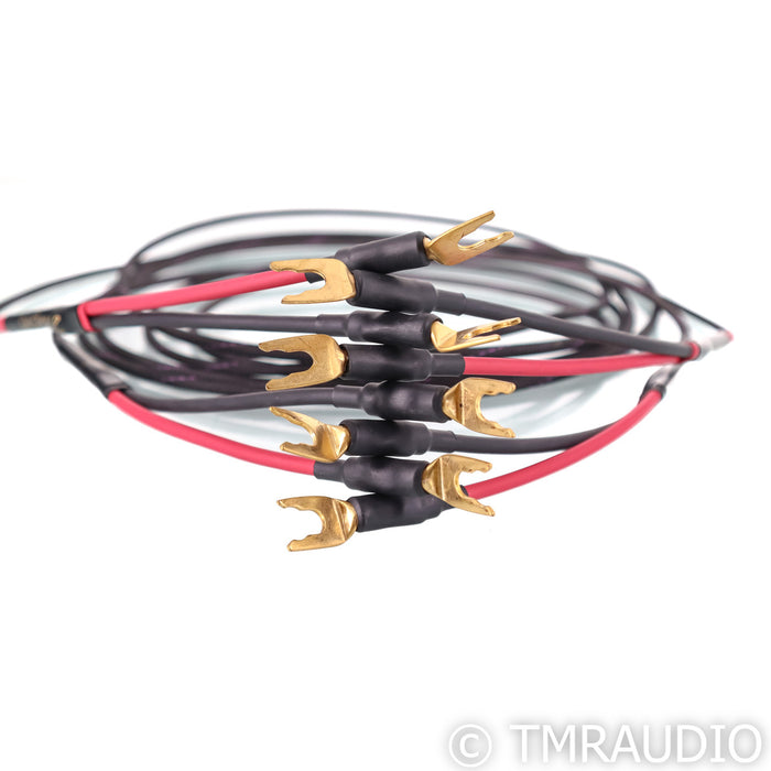 Audience studioTwo Speaker Cables; 3m Pair (Demo w/ Warranty)