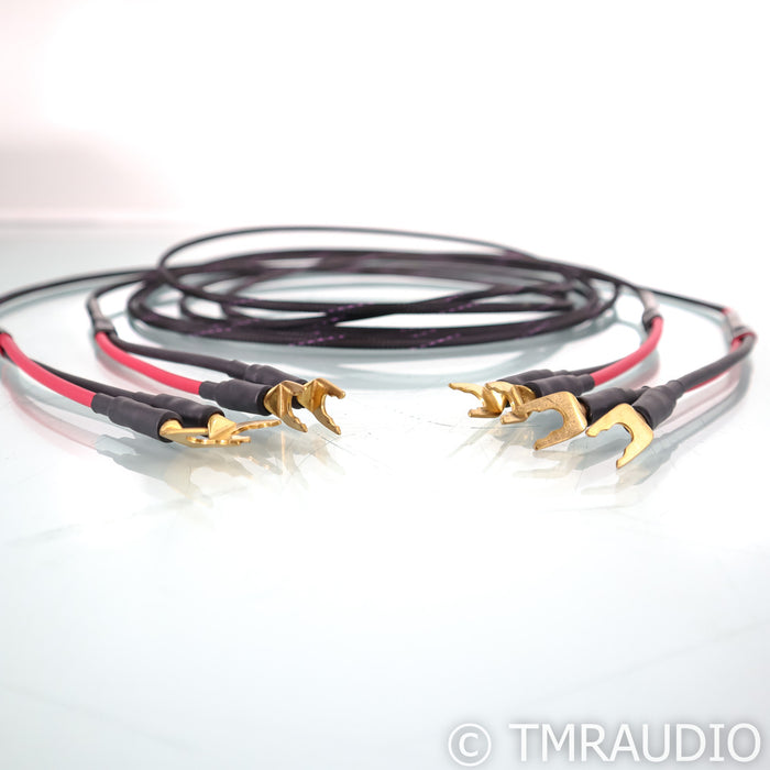 Audience studioTwo Speaker Cables; 3m Pair (Demo w/ Warranty)