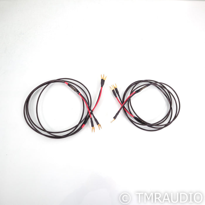 Audience studioTwo Speaker Cables; 3m Pair (Demo w/ Warranty)