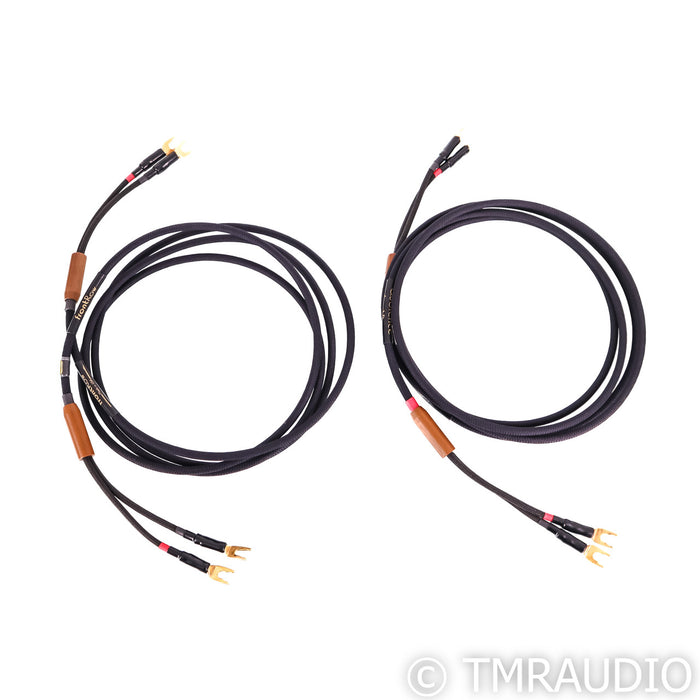 Audience frontRow Speaker Cables; 3m Pair (Demo w/ Warranty)