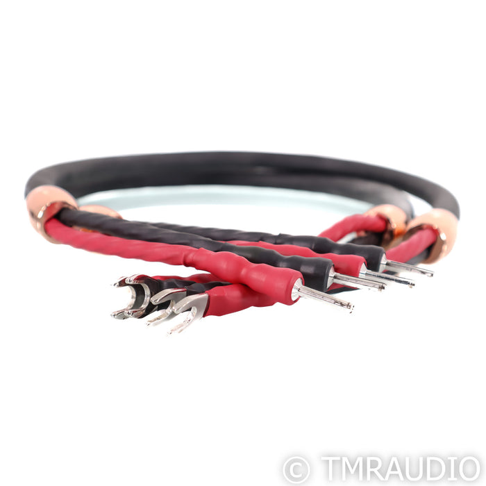 Cardas Clear Reflection Speaker Cables; 1m Pair