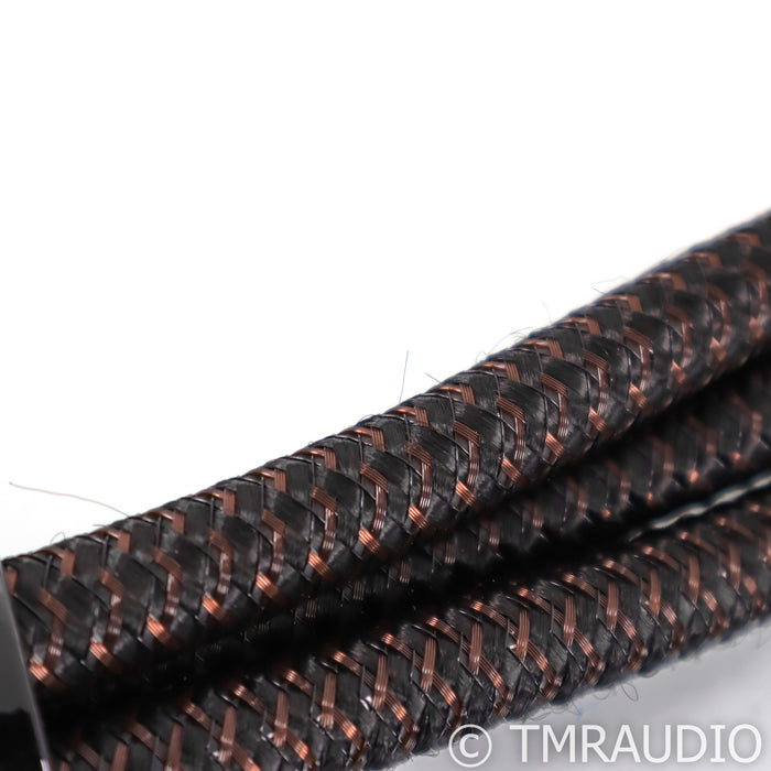AudioQuest Thunder High Vriable Current Power Cable; 1m AC Cord; 72v DBS