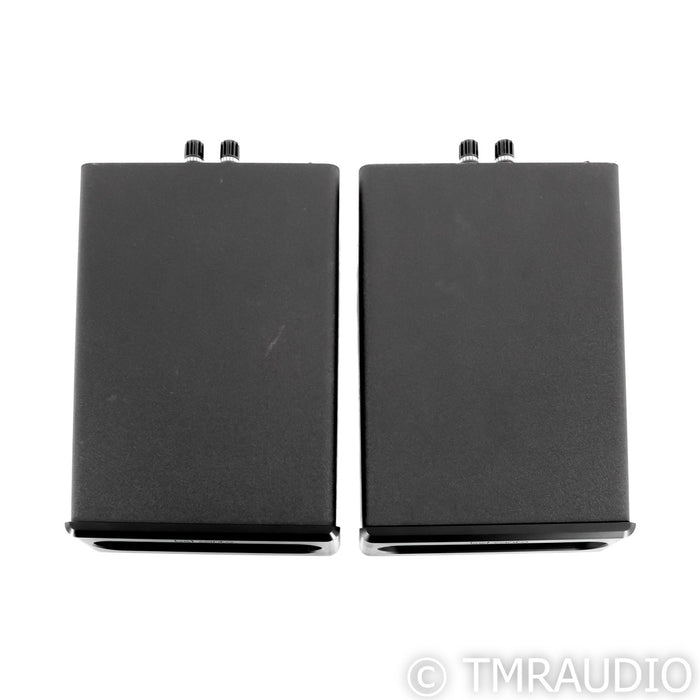 Bel Canto e.One REF600M Mono Power Amplifiers; Pair; REF-600M