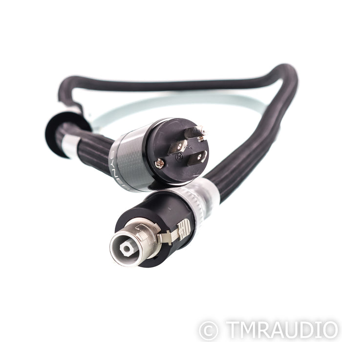 Synergistic Research Galileo PowerCell SX AC Line Power Conditioner; 25th Anniversary SR25 Power Cable (43/100)