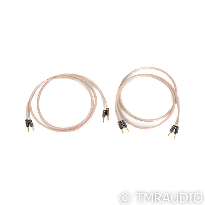 Atlas Audio Equator 2.0 MK11 Speaker Cables; 5.5ft Pair