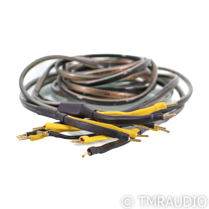 Analysis Plus Oval 12 Bi-Wire Speaker Cables; 6ft Pair