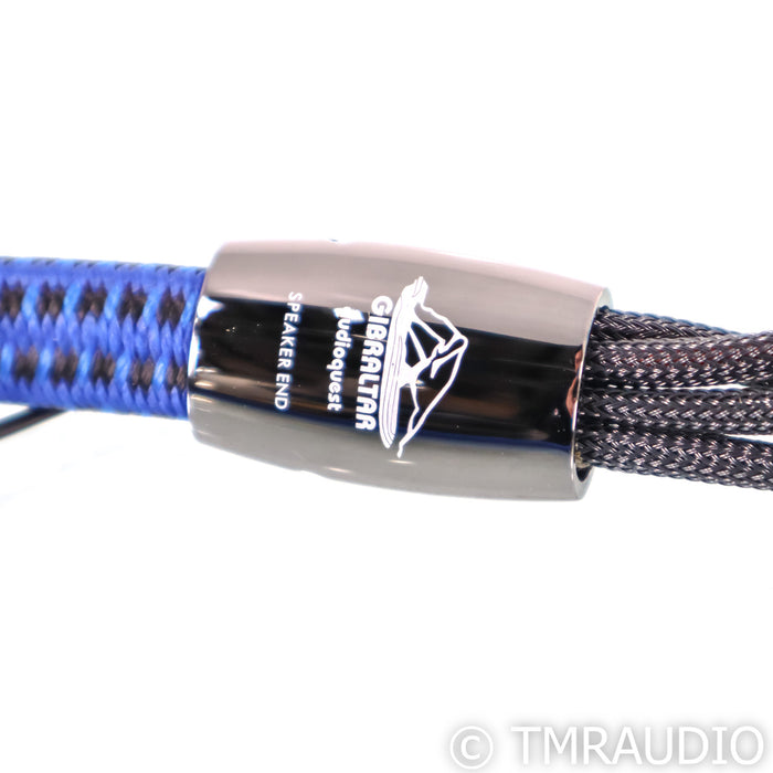 AudioQuest Gibraltar Bi-Wire Speaker Cables; 1m Pair
