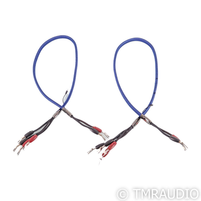 AudioQuest Gibraltar Bi-Wire Speaker Cables; 1m Pair