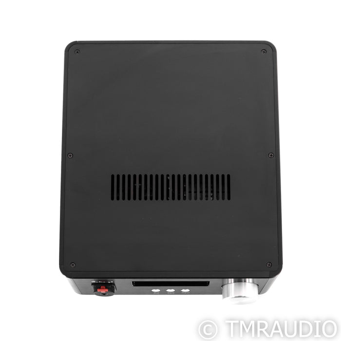 Audio-GD R2R-11 Mk2 DAC / Integrated Headphone Amplifier; D/A Converter