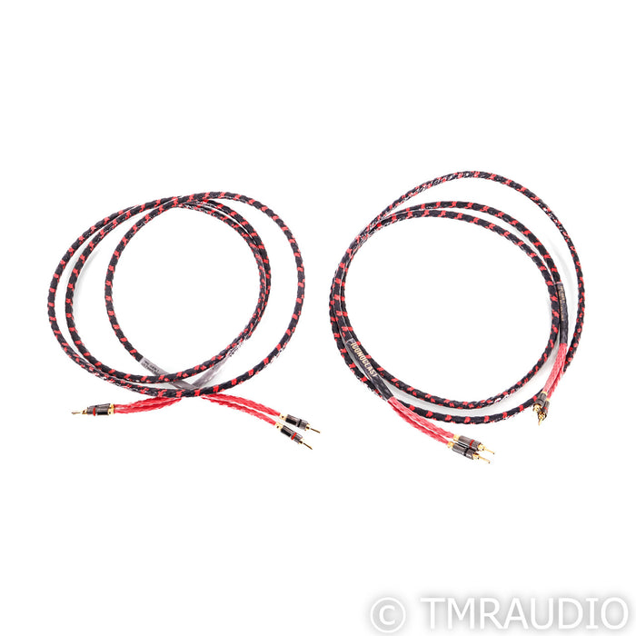 Iconoclast by Belden Series 1 TPC Speaker Cables; 10ft Pair; Gen 1