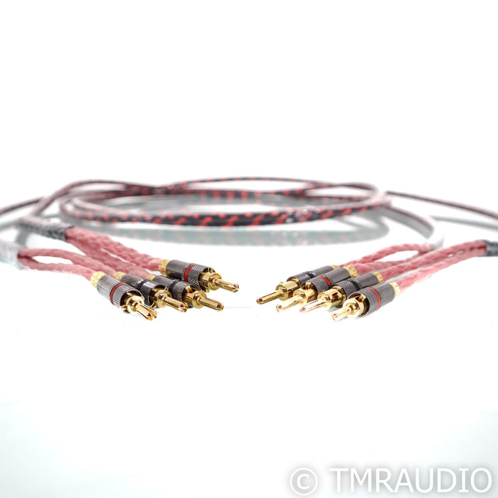 Iconoclast by Belden Series 1 TPC Speaker Cables; 10ft Pair; Gen 1