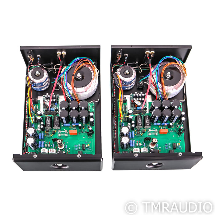 Rogue Audio DragoN Mono Hybrid Power Amplifier; Pair Monoblock