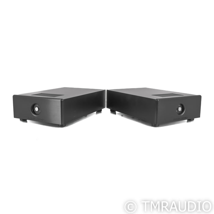 Rogue Audio DragoN Mono Hybrid Power Amplifier; Pair Monoblock