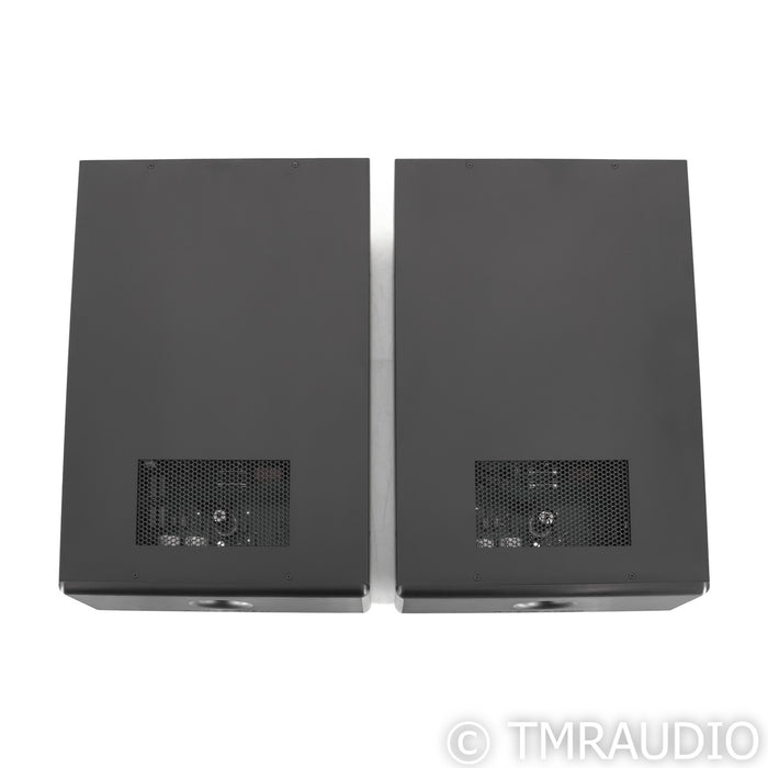 Rogue Audio DragoN Mono Hybrid Power Amplifier; Pair Monoblock