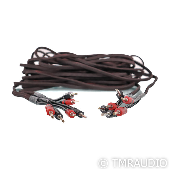 AudioQuest Rocket 33 Bi-Wire Speaker Cables; 40ft Pair