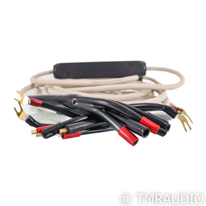 Transparent Audio MusicWave Bi-Wire Speaker Cables; 15ft Pair Spade to Banana