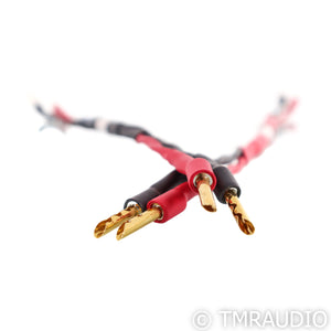 Audio Advisor Jumper Cables; 1ft Pair
