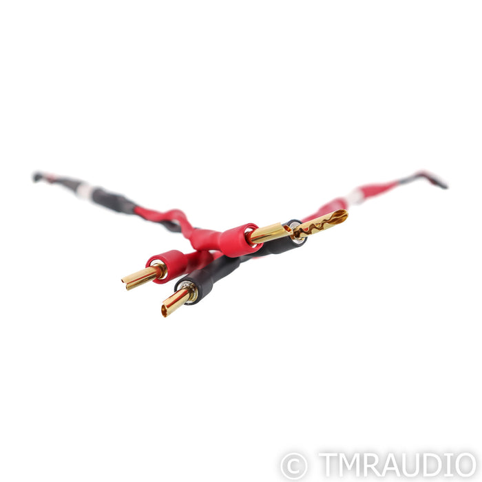 Audio Advisor Jumper Cables; 1ft Pair
