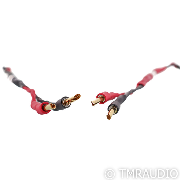 Audio Advisor Jumper Cables; 1ft Pair