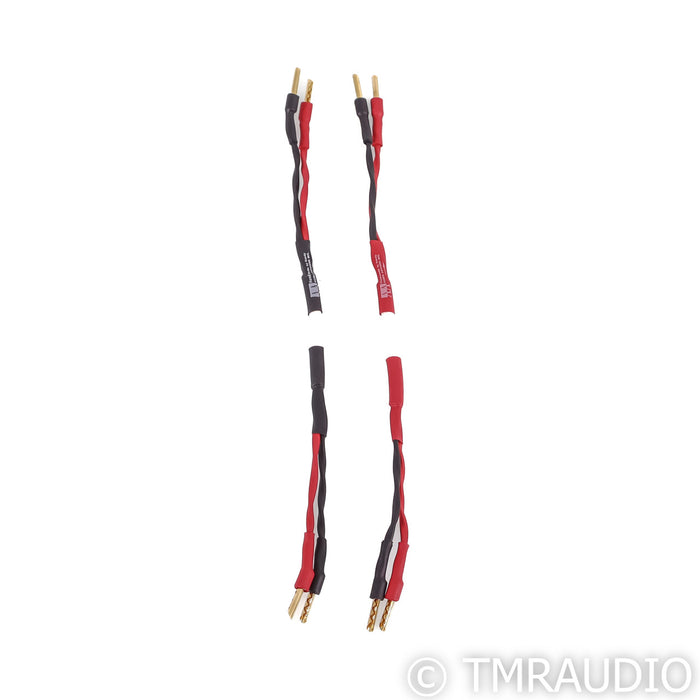 Audio Advisor Jumper Cables; 1ft Pair