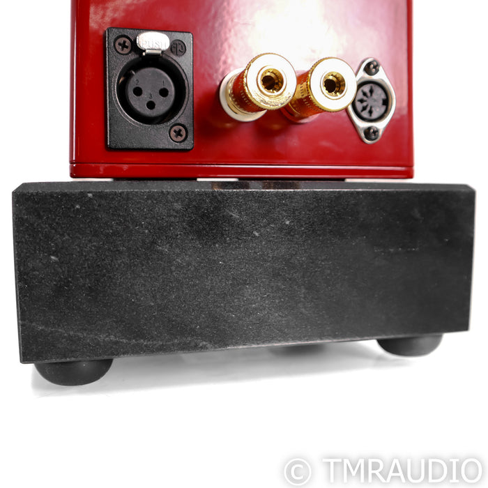 Digital Amplifier Company Maraschino Cherry Monoblock Amplifiers; Pair
